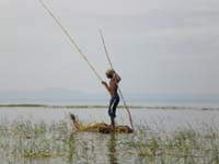 Lake Awassa / AR